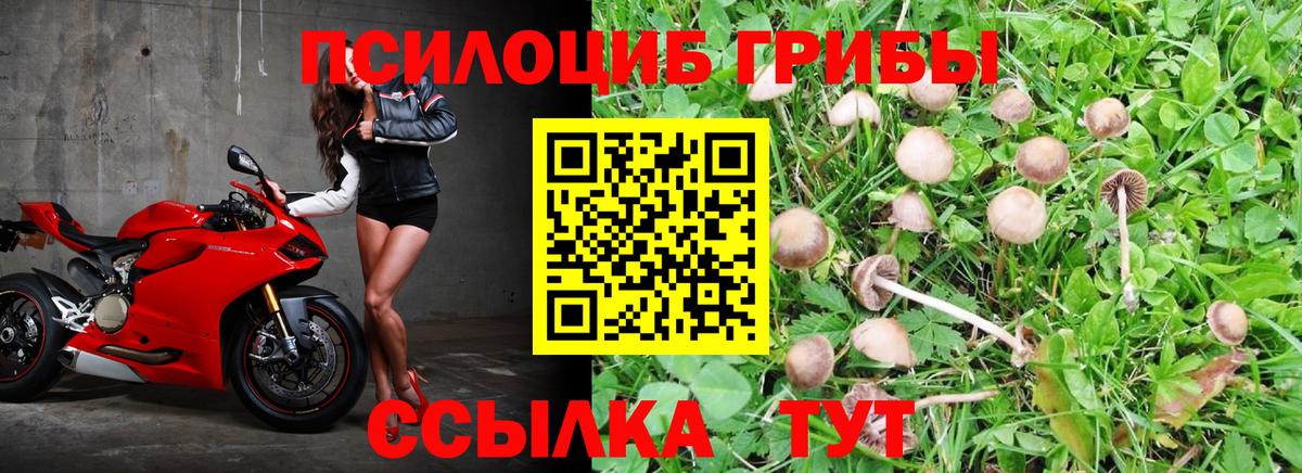 Галлюциногенные грибы GOLDEN TEACHER Бузулук