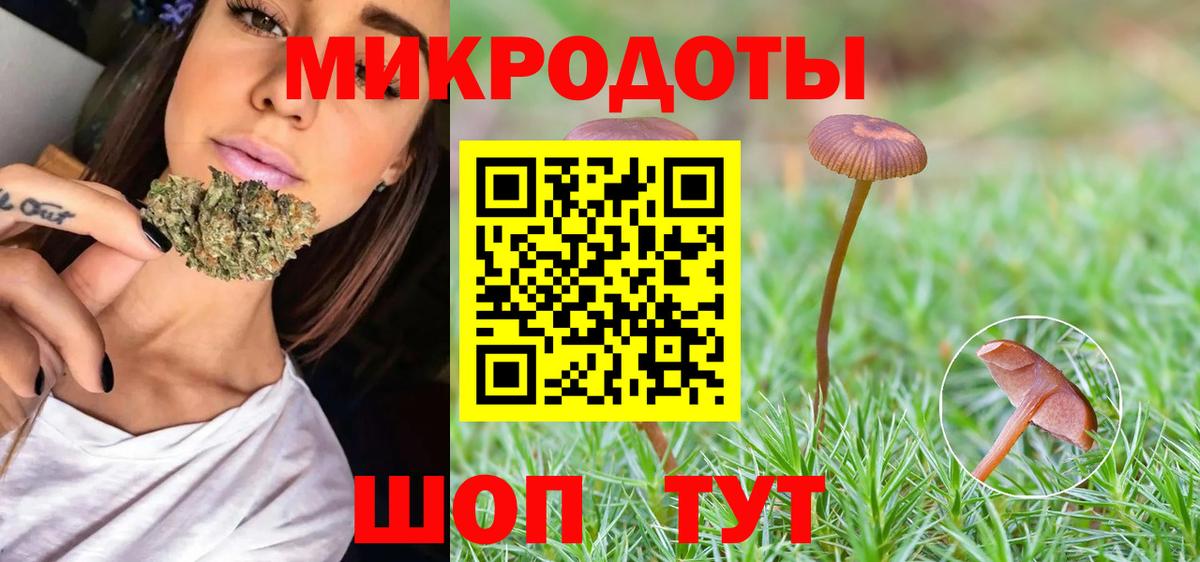 Бузулук  закладки  Вход с VPN  Галлюциногенные грибы Psilocybe 