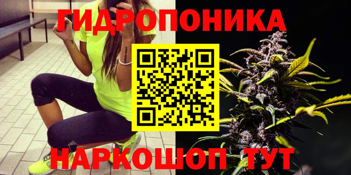 Бузулук  Марихуана гибрид  МАРИХУАНА семена  Канабис семена  Каннабис OG Kush  Вход с VPN 
